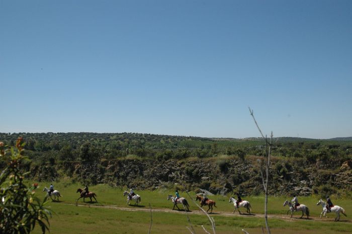 Promenade dans le parc national de Monfragüe
