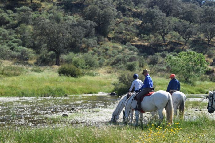 Promenade dans le parc national de Monfragüe