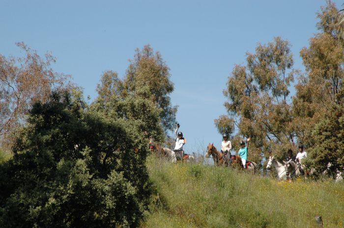 Promenade dans le parc national de Monfragüe