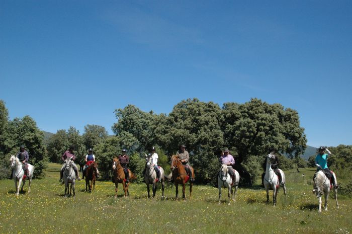 Promenade dans le parc national de Monfragüe