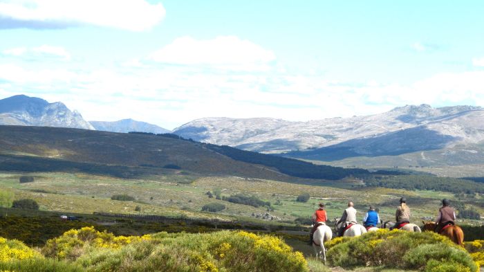 Trail des éleveurs d'Estrémadure