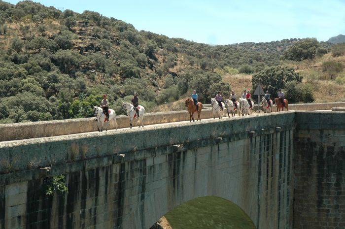 Trail des éleveurs d'Estrémadure
