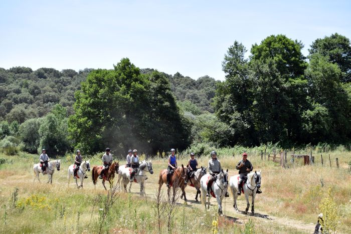 Trail des éleveurs d'Estrémadure