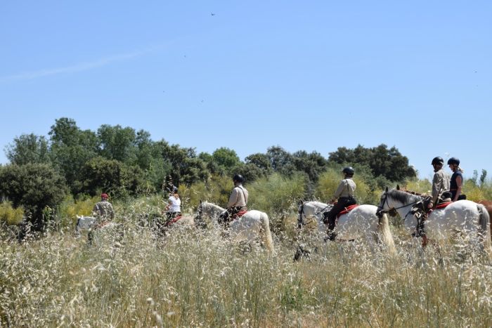 Trail des éleveurs d'Estrémadure