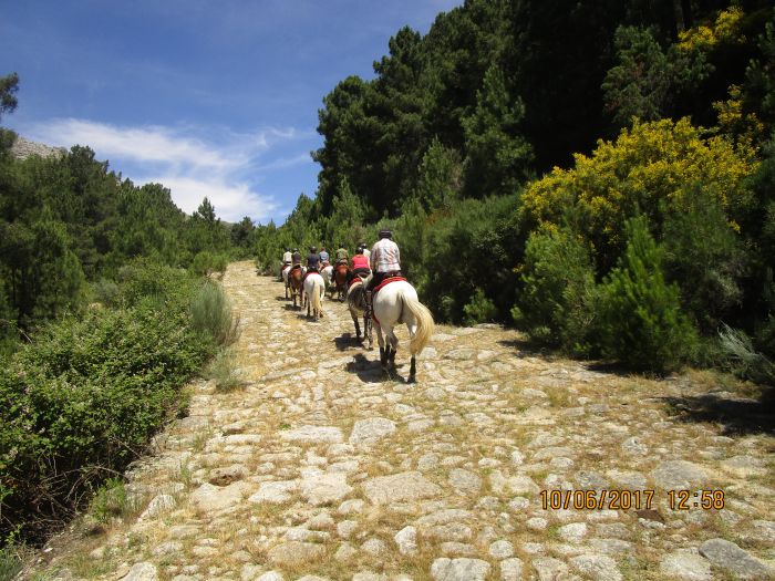 Trail des éleveurs d'Estrémadure