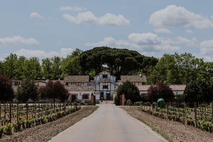 Ruta del Vino