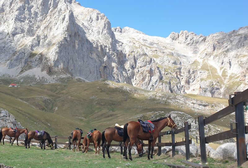 Cider Trail à travers les Asturies