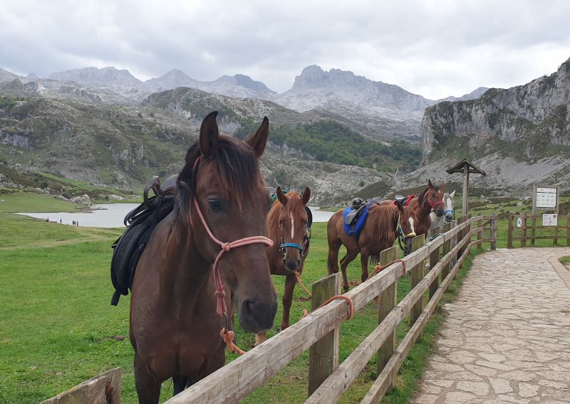 Cider Trail à travers les Asturies