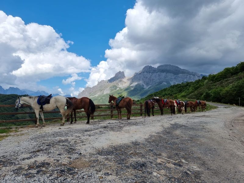 Cider Trail à travers les Asturies