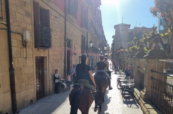 Camino de Santiago - Chemin de Saint-Jacques-de-Compostelle