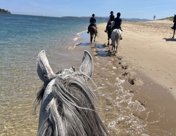 De Burgos à la mer