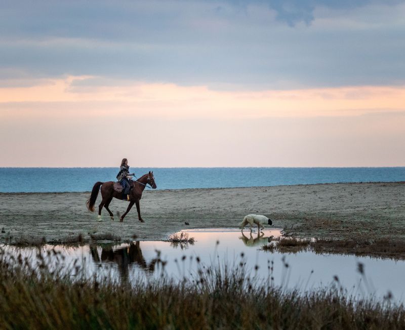 Finca Llevant : Majorque dans toute sa diversité