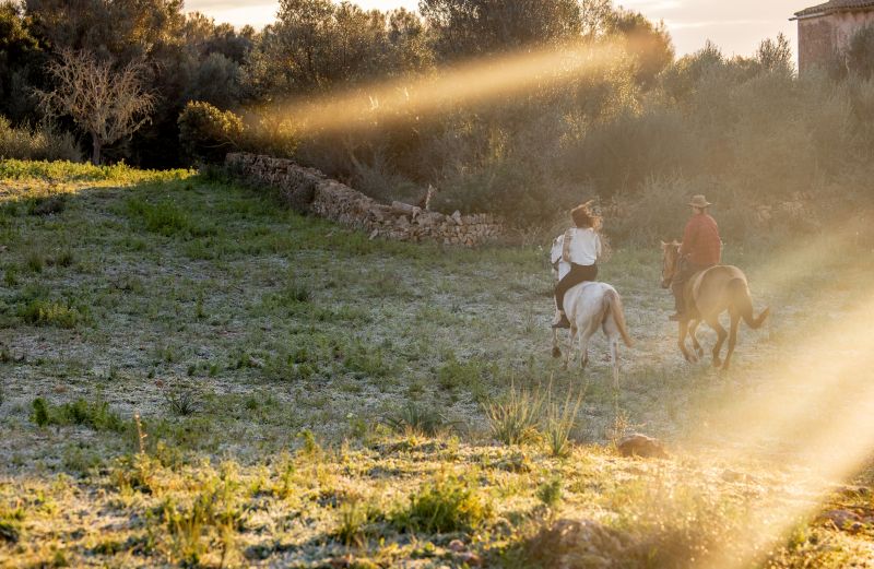 Finca Llevant : Majorque dans toute sa diversité