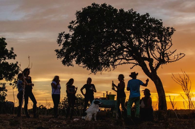Finca Llevant : Majorque dans toute sa diversité