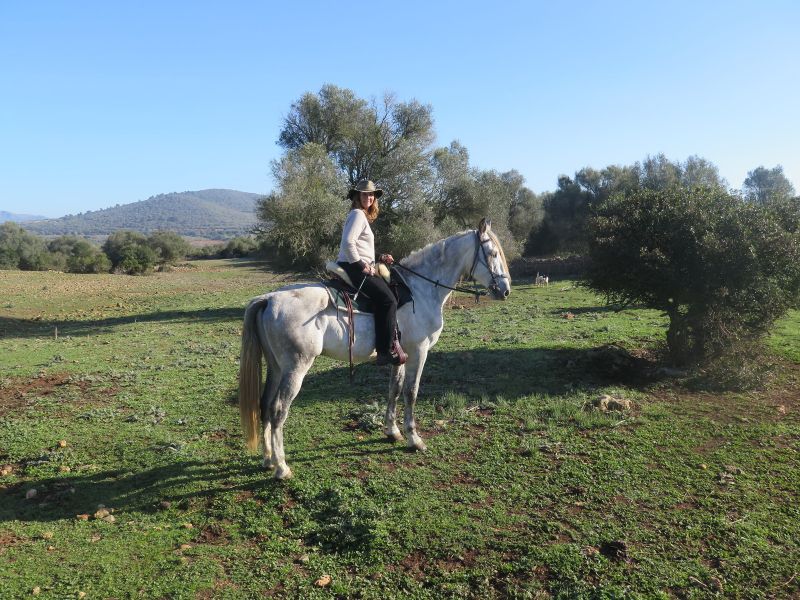 Finca Llevant : Majorque dans toute sa diversité