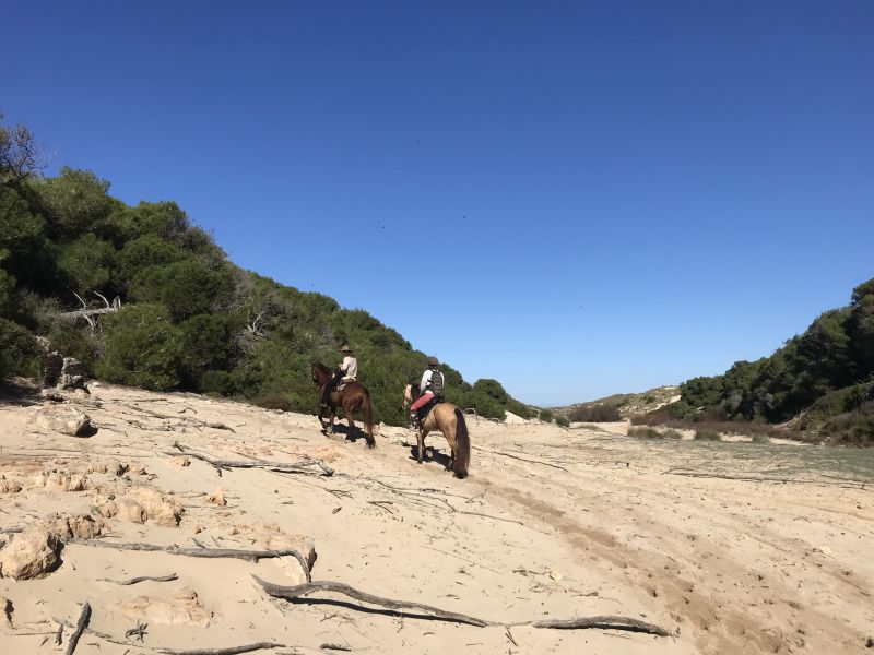 Finca Llevant : Majorque dans toute sa diversité