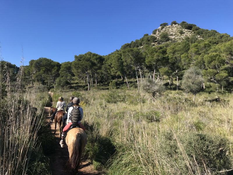 Finca Llevant : Majorque dans toute sa diversité
