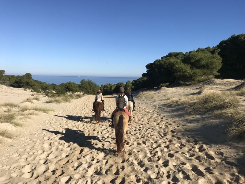 Finca Llevant : Majorque dans toute sa diversité