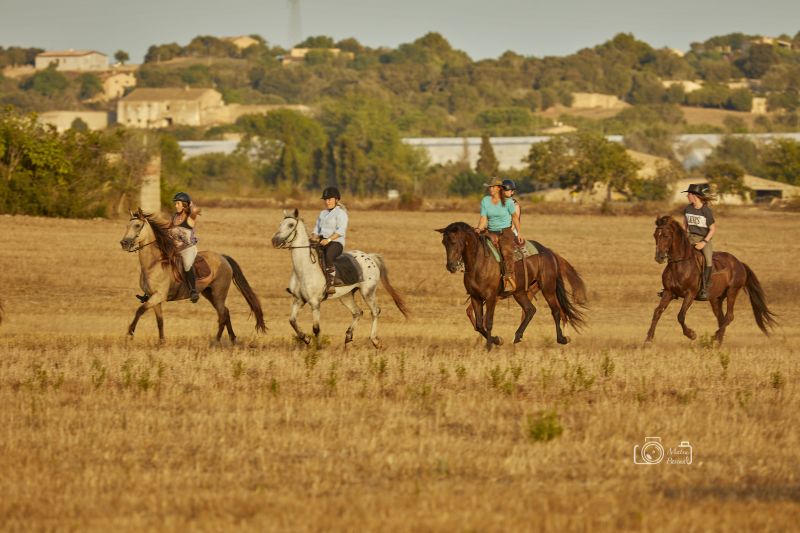 Finca Llevant : Majorque dans toute sa diversité