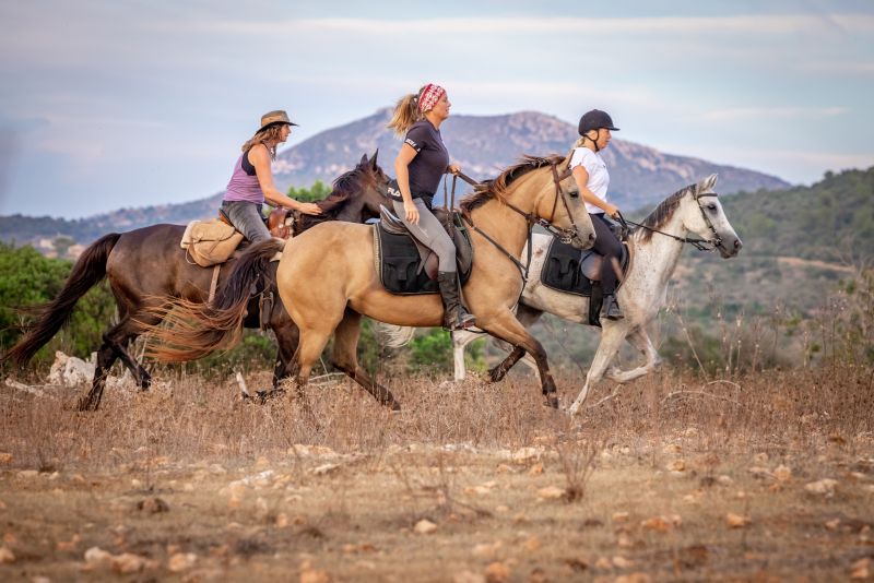 Finca Llevant : Majorque dans toute sa diversité