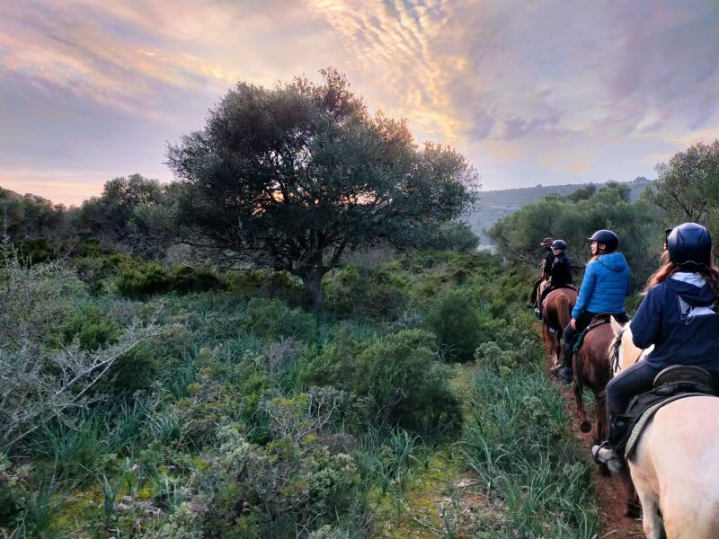 Finca Llevant : Majorque dans toute sa diversité