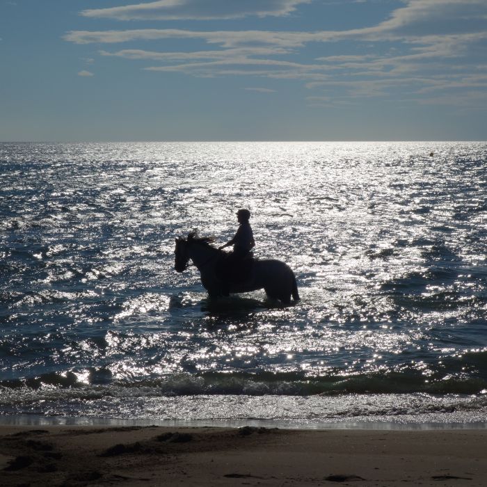 De la montagne à la mer