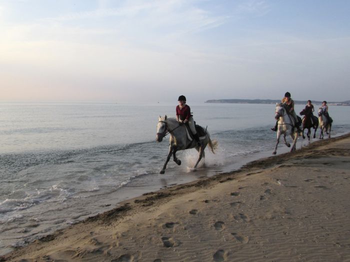 De la montagne à la mer