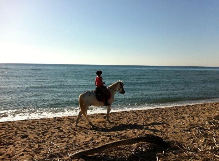La Catalogne au galop