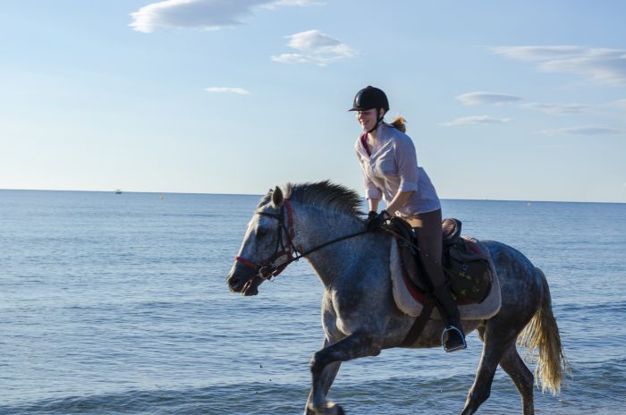 La Catalogne au galop