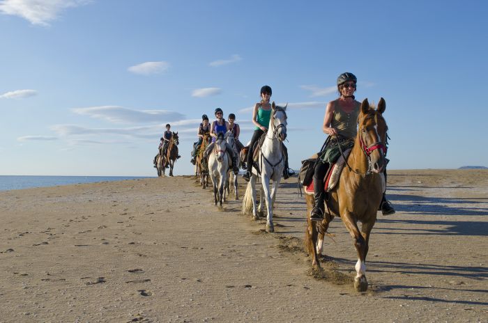 La Catalogne au galop