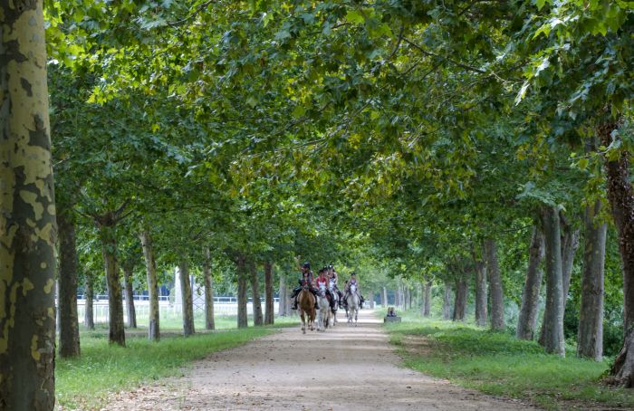 La Catalogne au galop