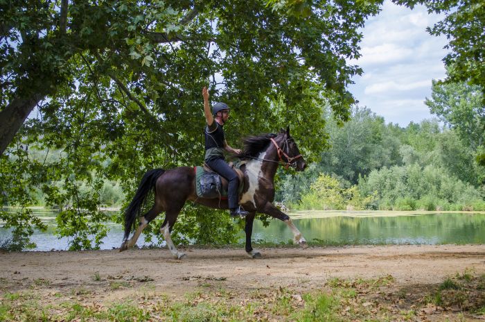 La Catalogne au galop