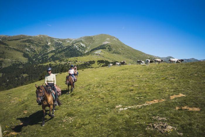 La piste des contrebandiers