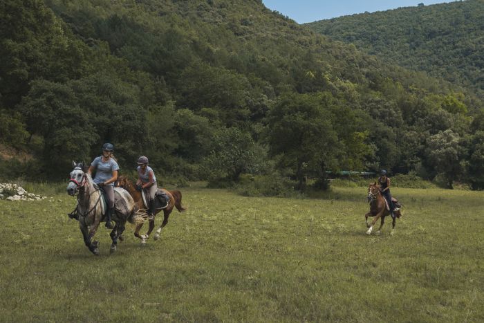 La piste des contrebandiers