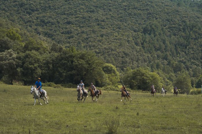 La piste des contrebandiers
