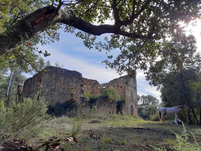 Trail de la Costa Brava