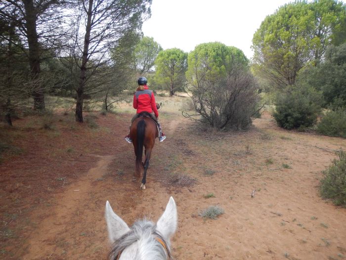 Trail de la Costa Brava