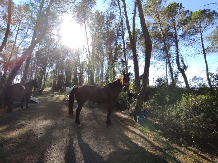 Trail de la Costa Brava