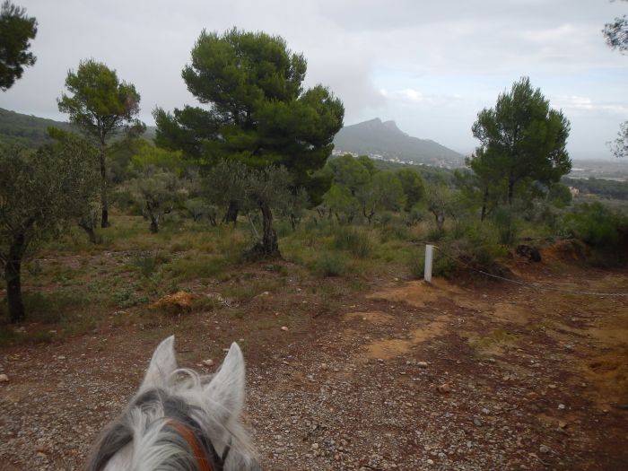 Trail de la Costa Brava