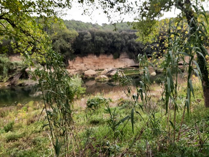 Trail de la Costa Brava