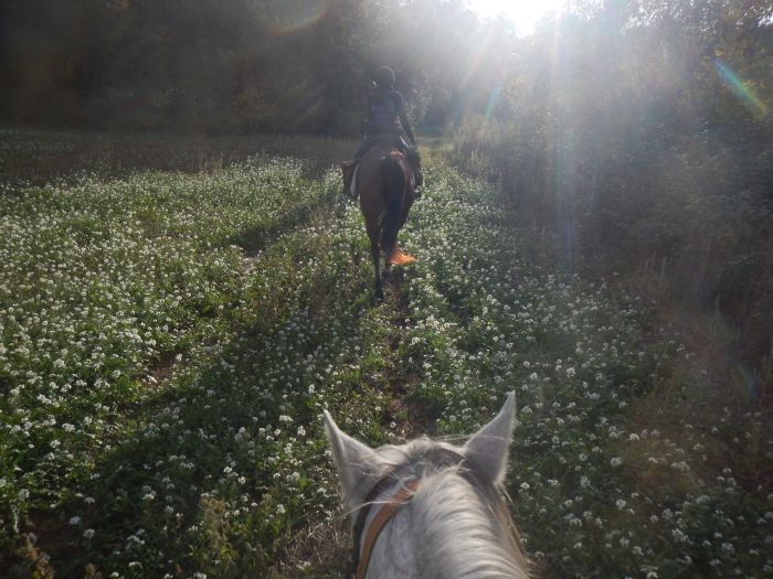 Trail de la Costa Brava